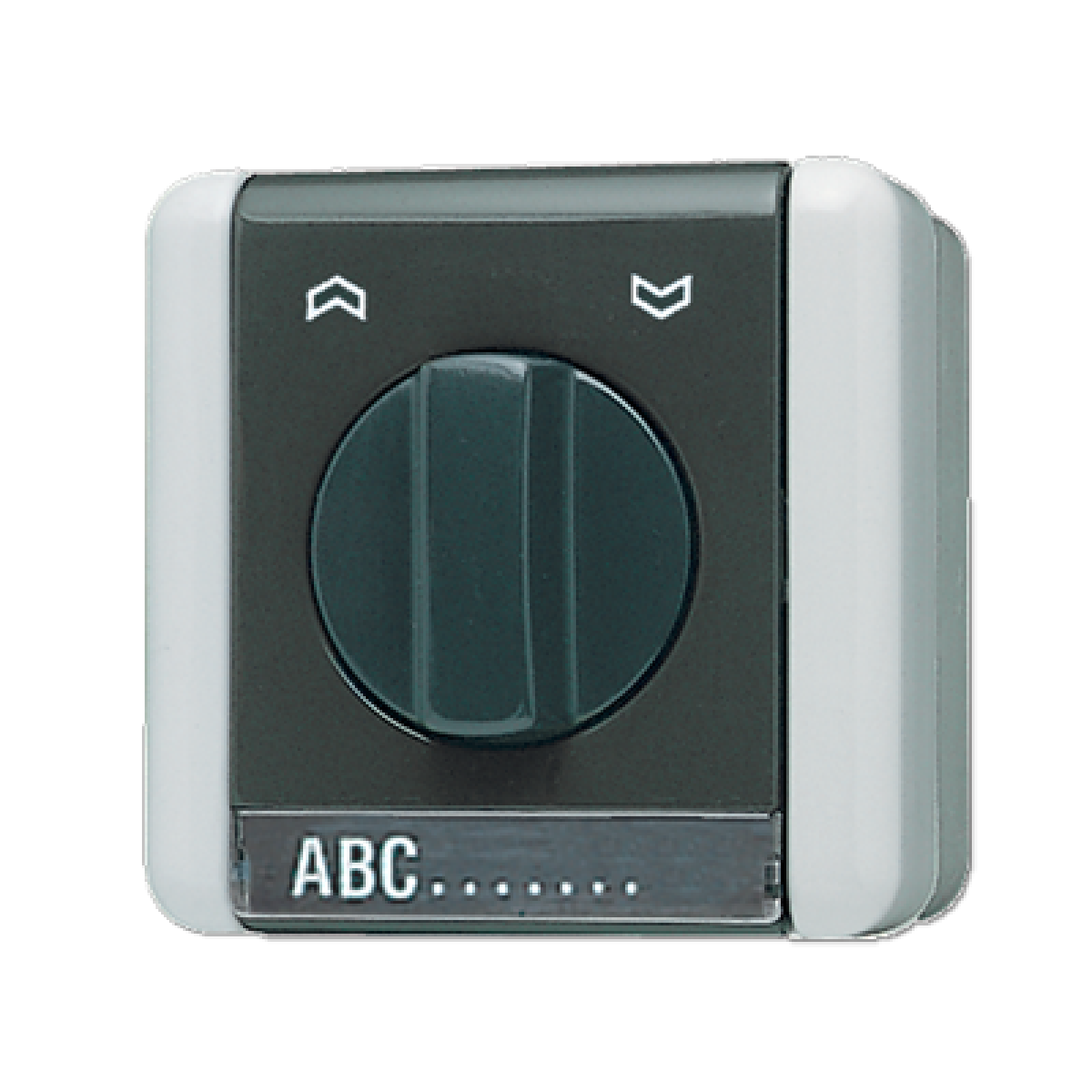 Interruptor girat. persianas WG 8