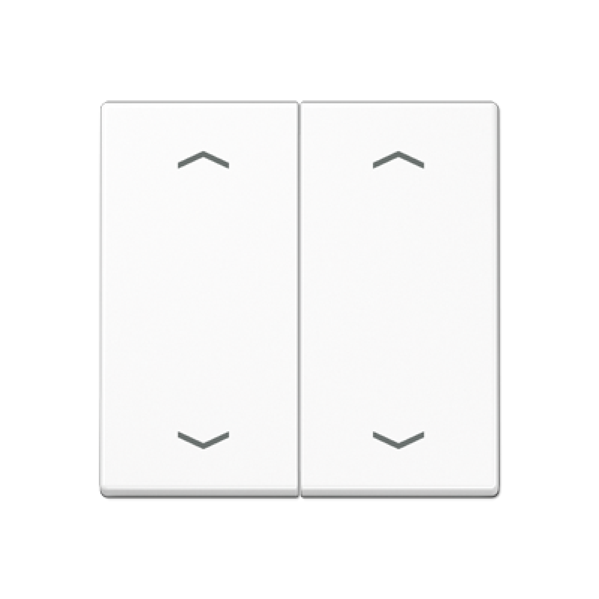 Tecla doble pulsador pers. A bl. alpi