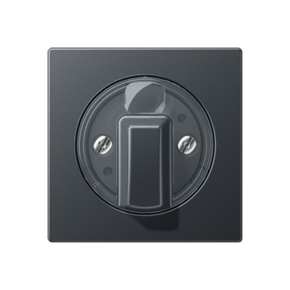 Placa interruptor giratorio A antracita