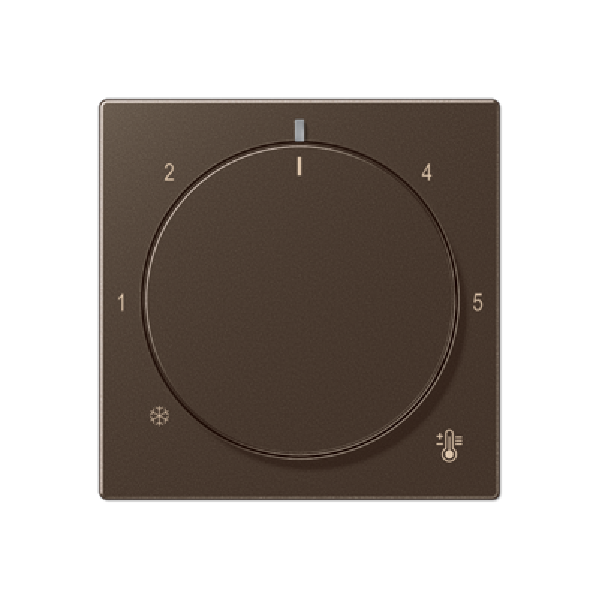 Placa termostato. A mokka