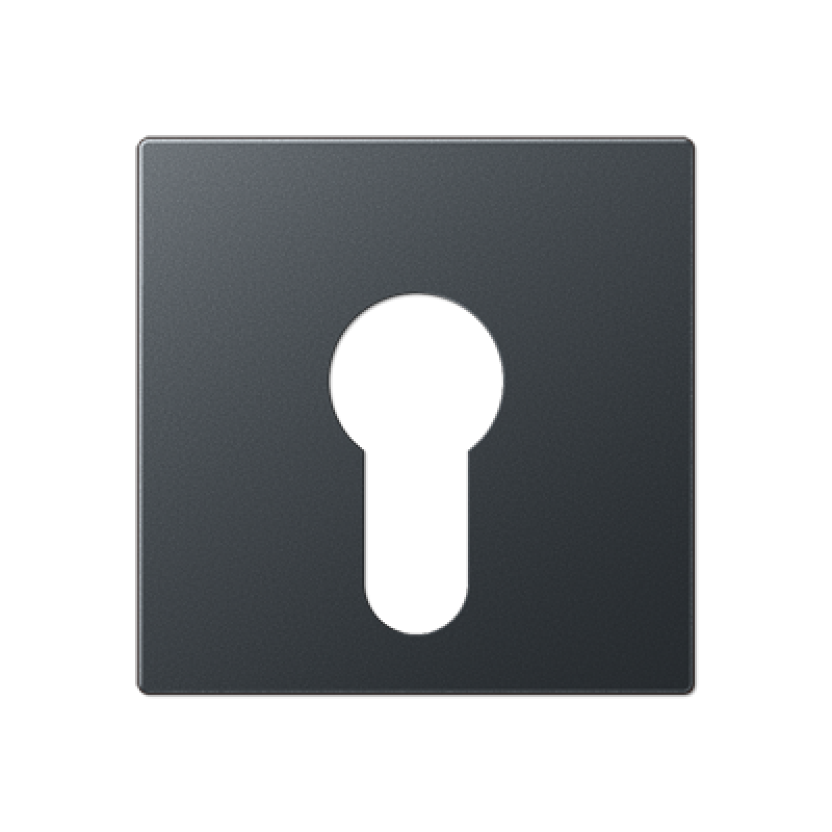 Placa interruptor llave A antracita