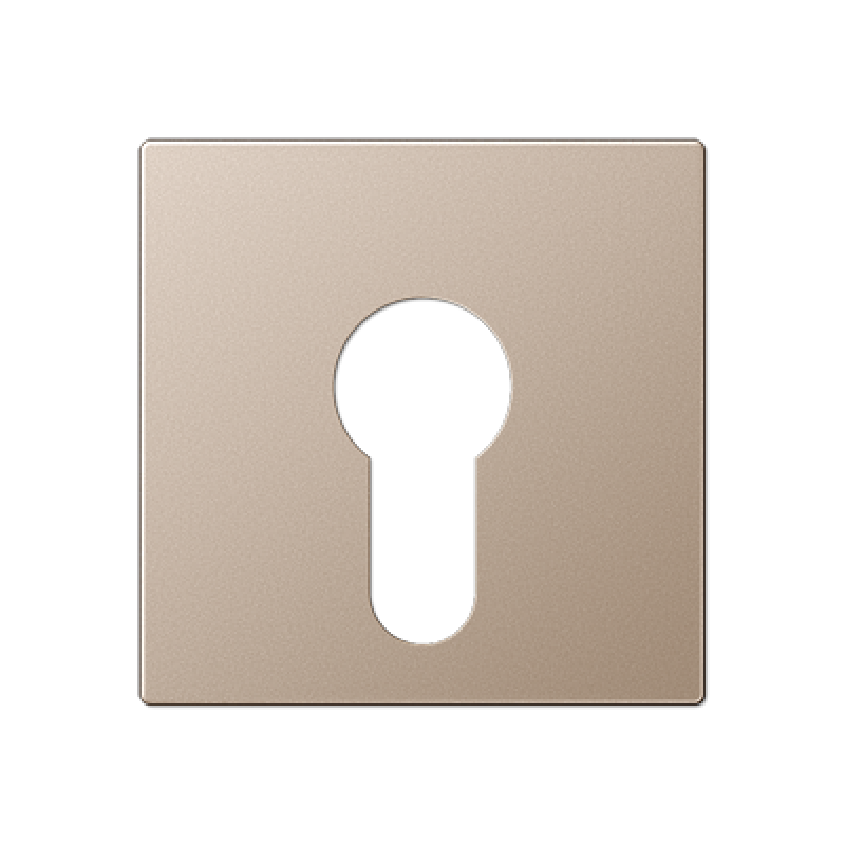 Placa interruptor llave A cava