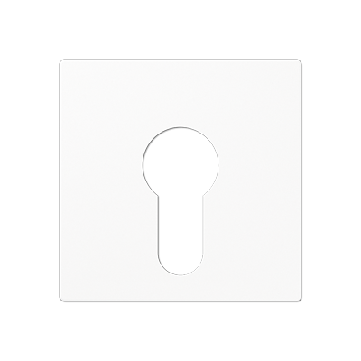 Placa interruptor llave A blanco alpino