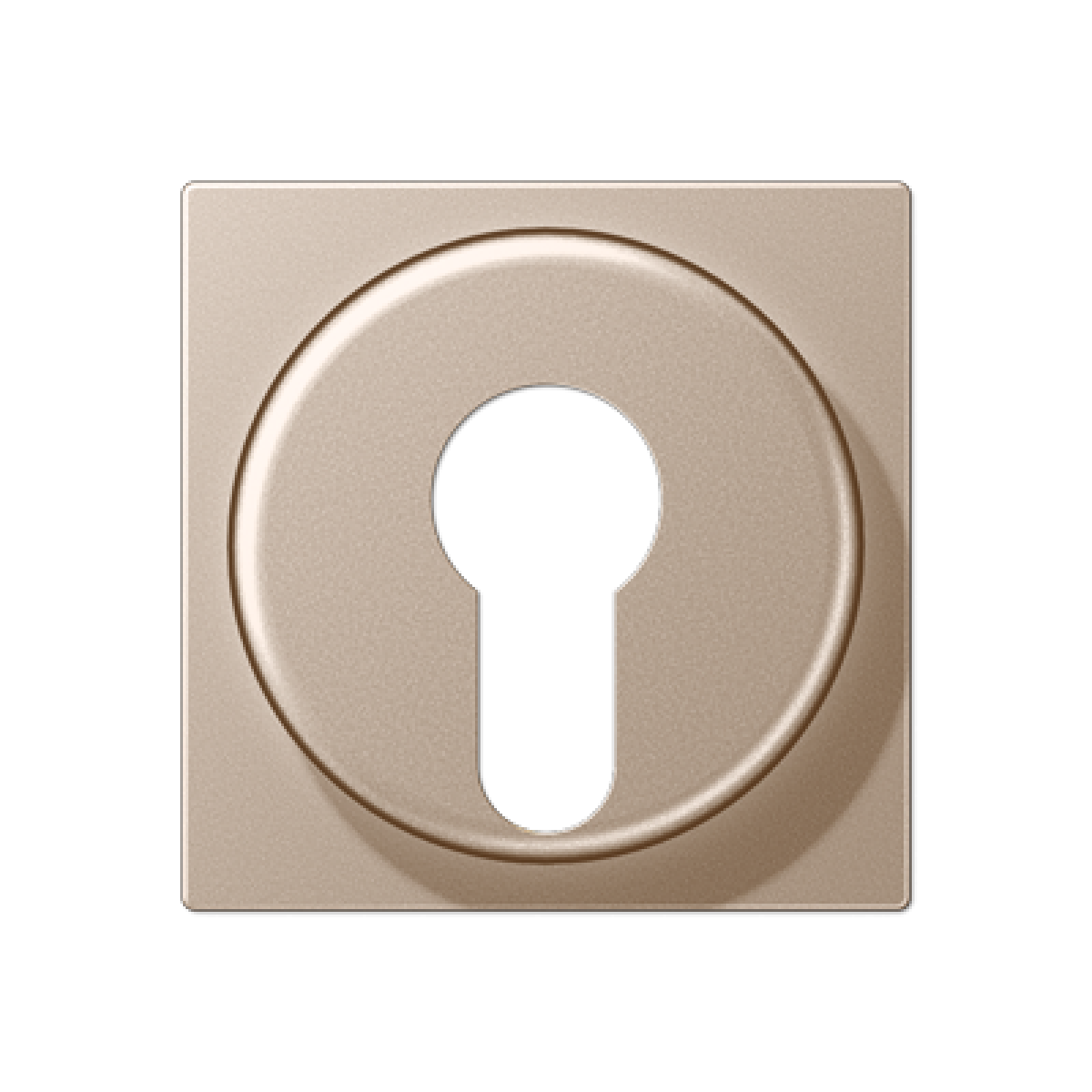 Placa interruptor llave A cava