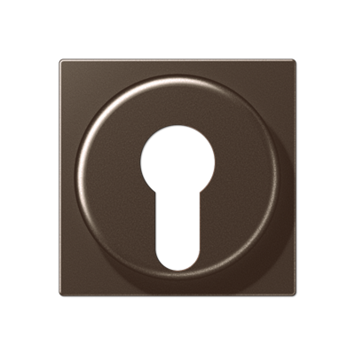 Placa interruptor llave A mokka