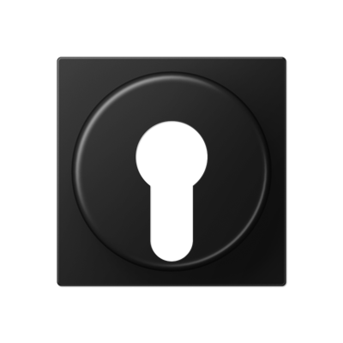 Placa interruptor llave A negro mate