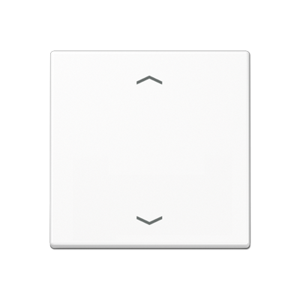 Tecla simple pers. A bl. alpi