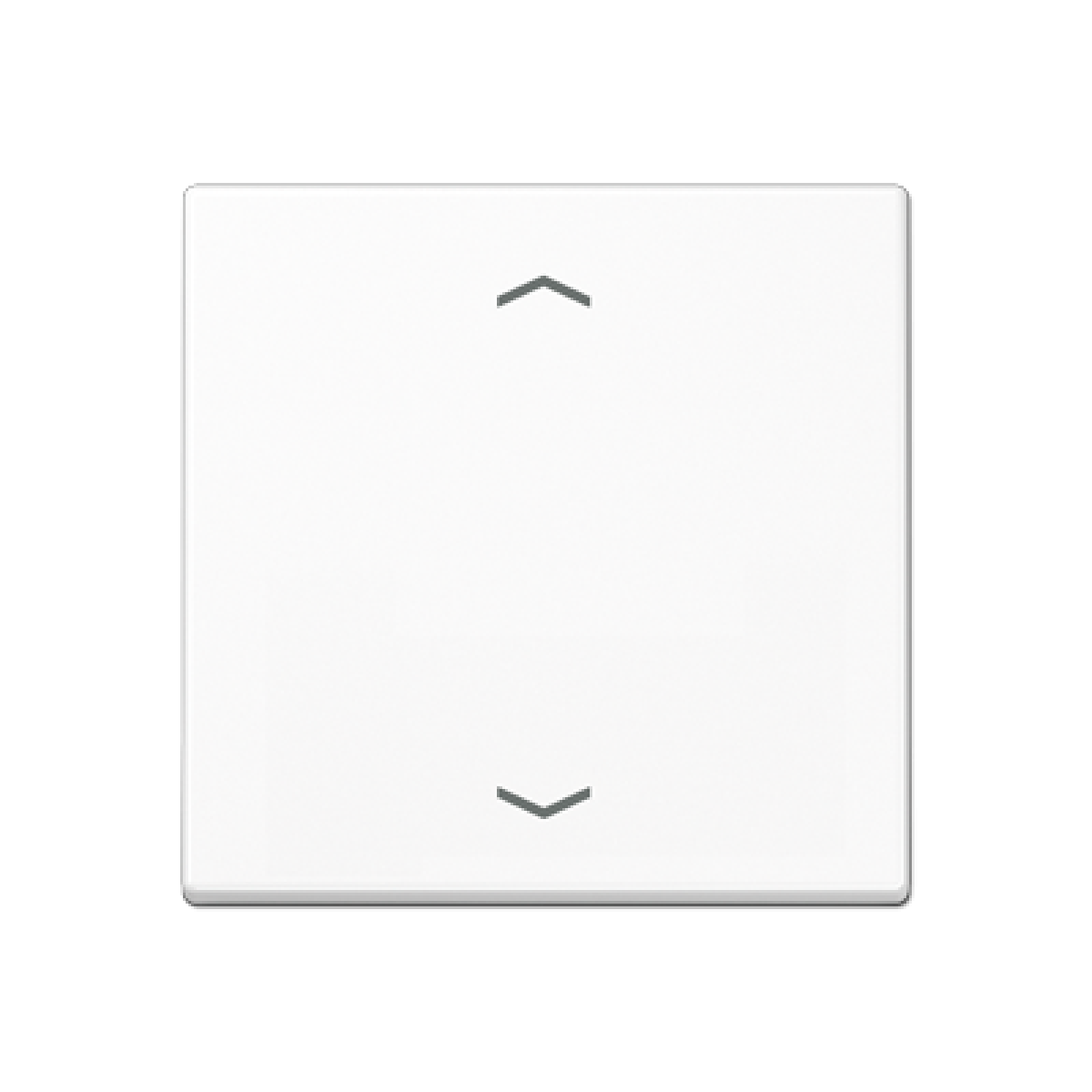 Tecla simple pers. A bl. alpi