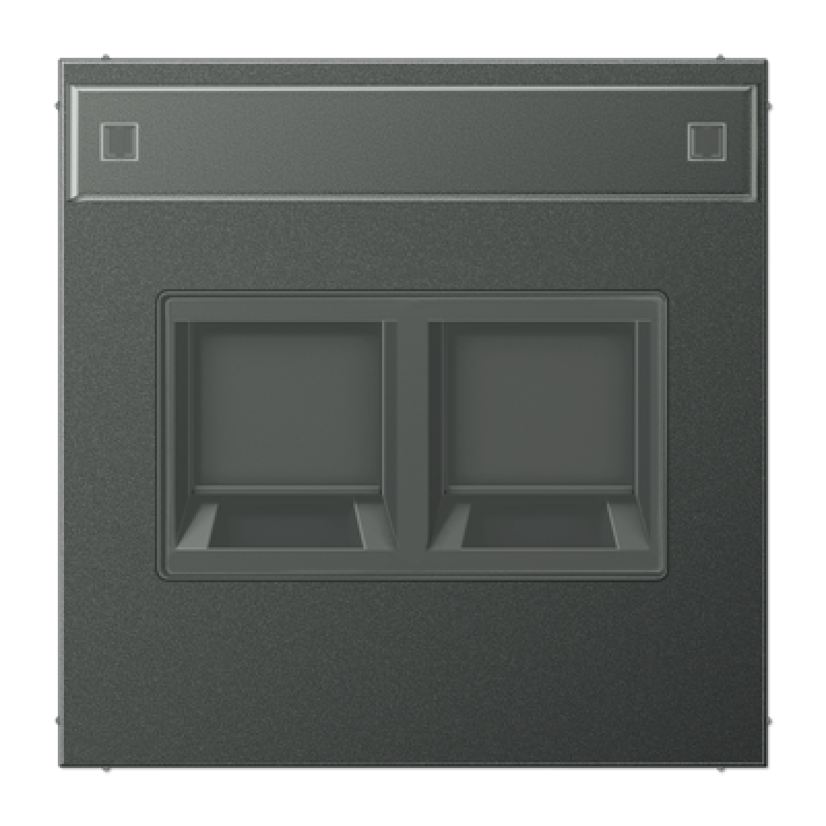 Placa Mod.Jack-Radiall. 2 tomas LS antra