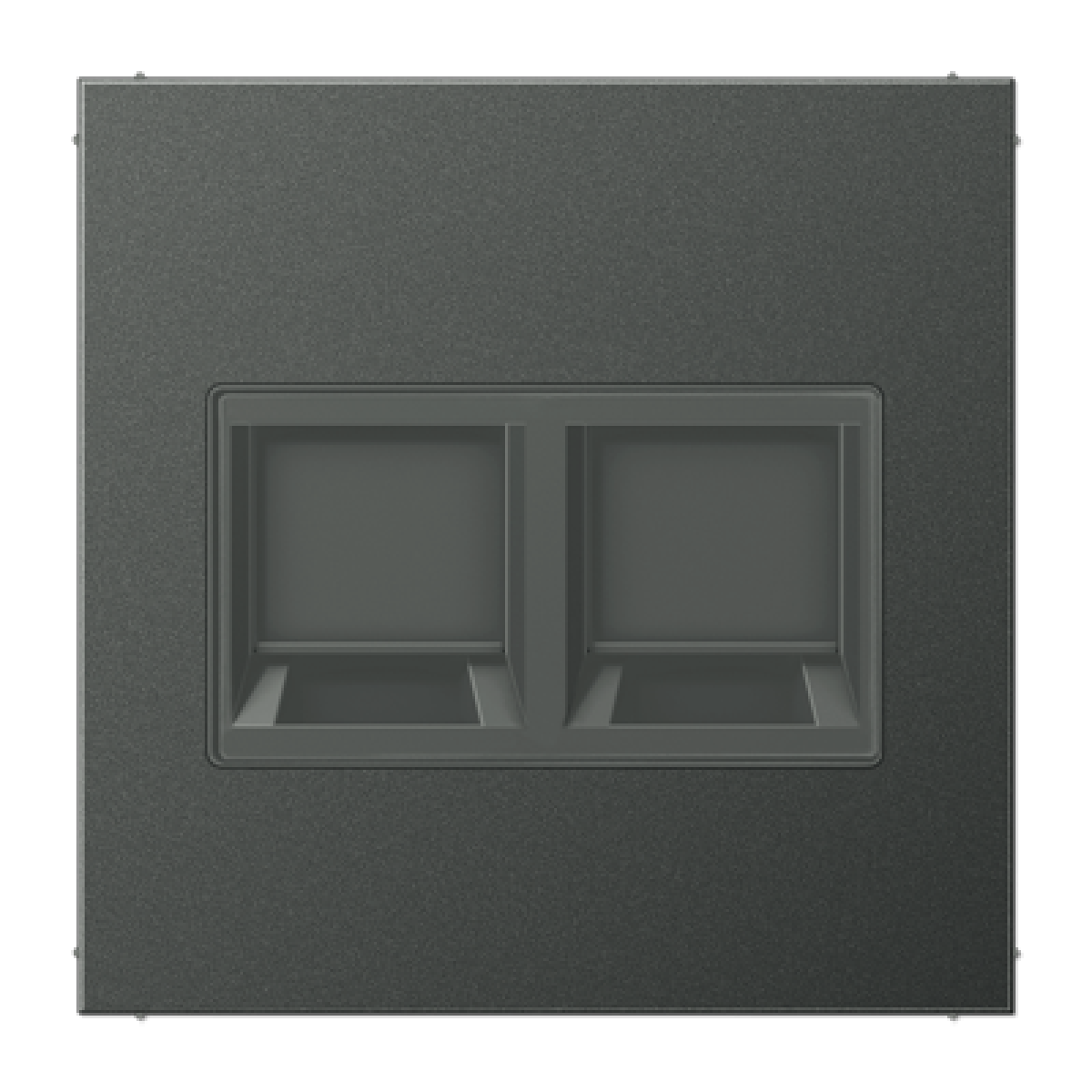 Placa Mod.Jack-Radiall. 2 tomas LS antra