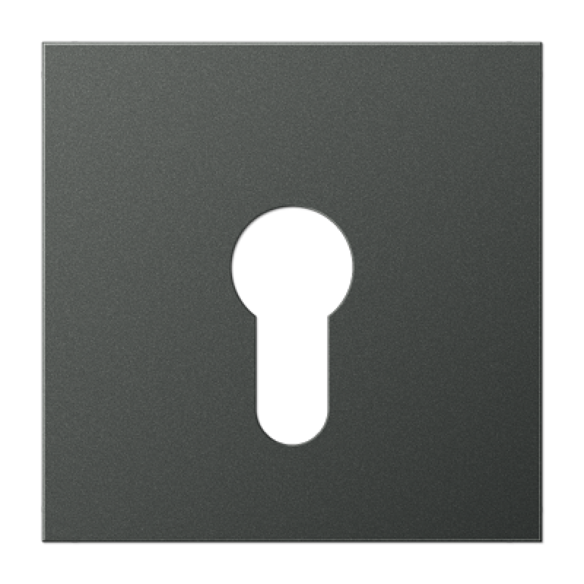 Placa interruptor llave LS antracita