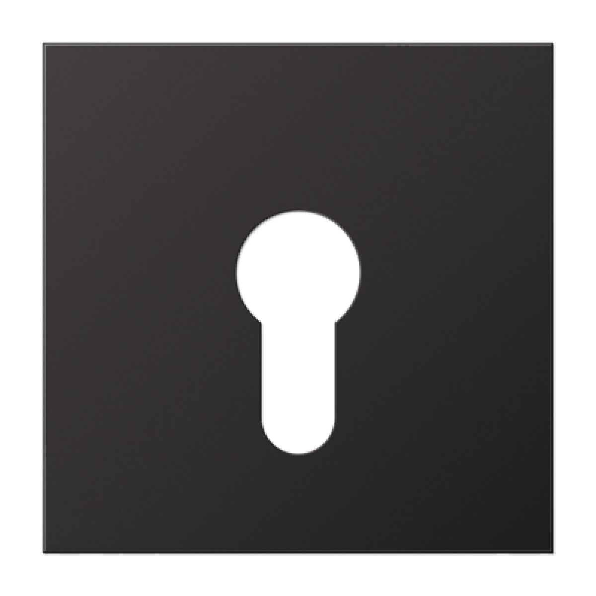 Placa interruptor llave LS dark