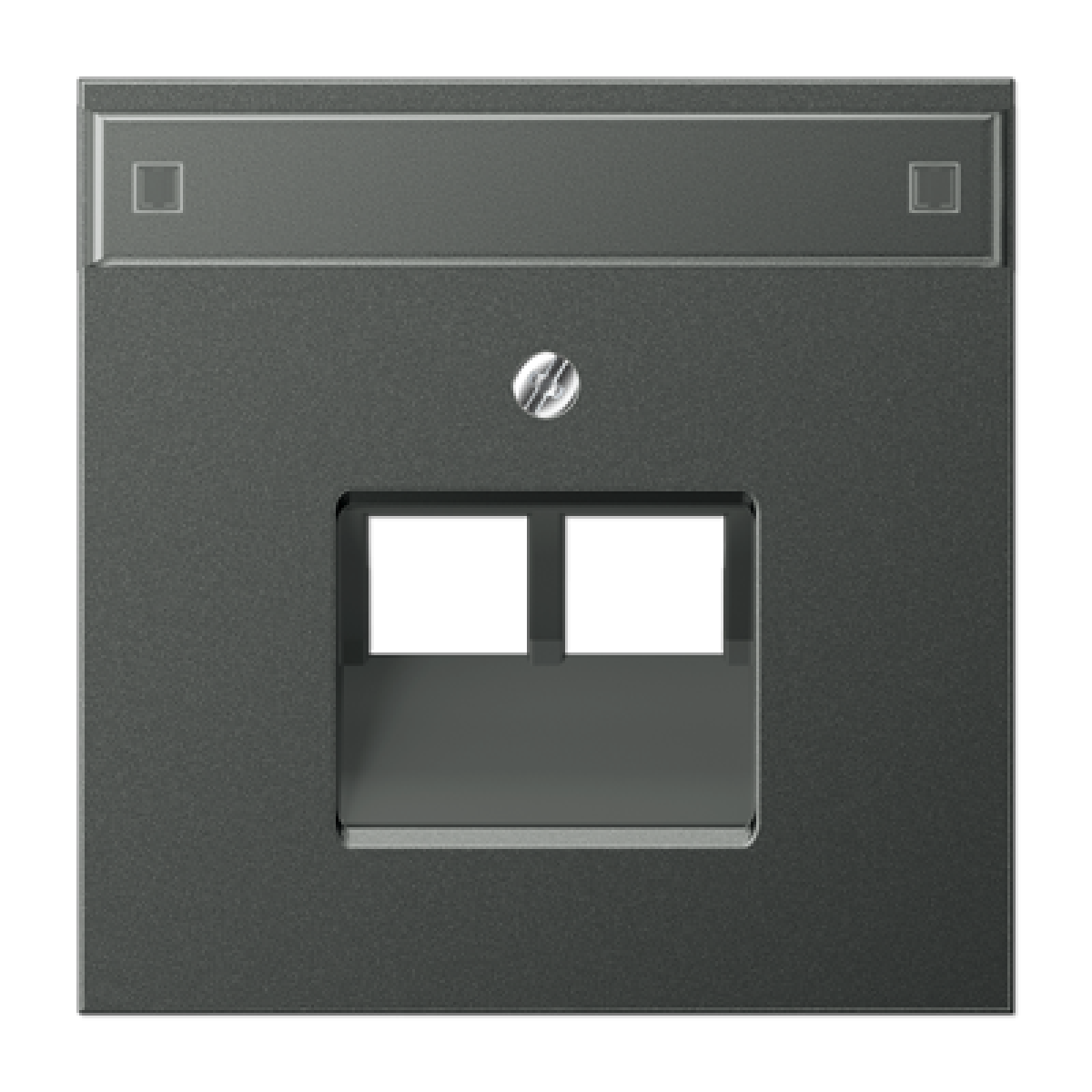 Placa central telef. 2 tomas LS antra.