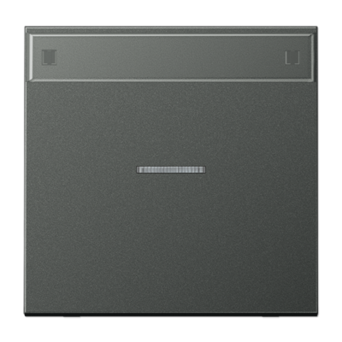 Tecla cvisor inscr. LS antra.