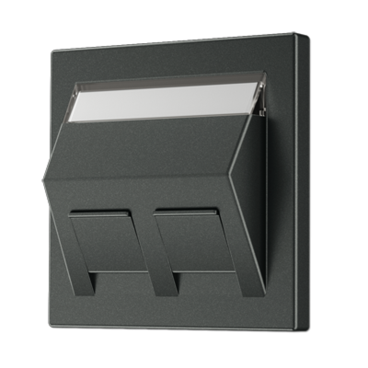 Placa Mod. Jack inscr. LS antra.