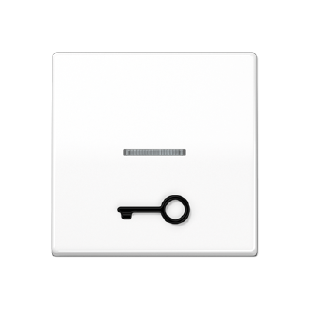 Tecla cvisor simb. llave AS bl. alpi