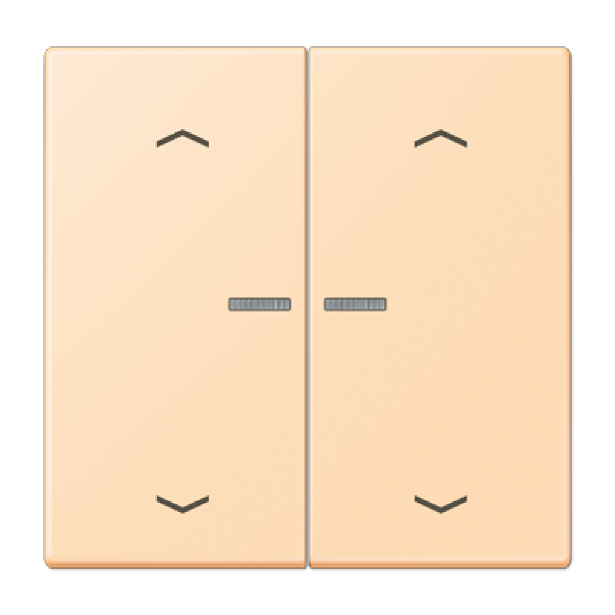 Tecla JUNG HOME 2 fases. pers. LC32060