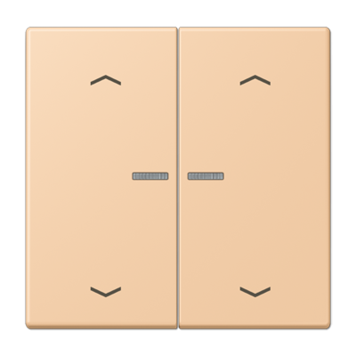 Tecla JUNG HOME 2 fases. pers. LC32122