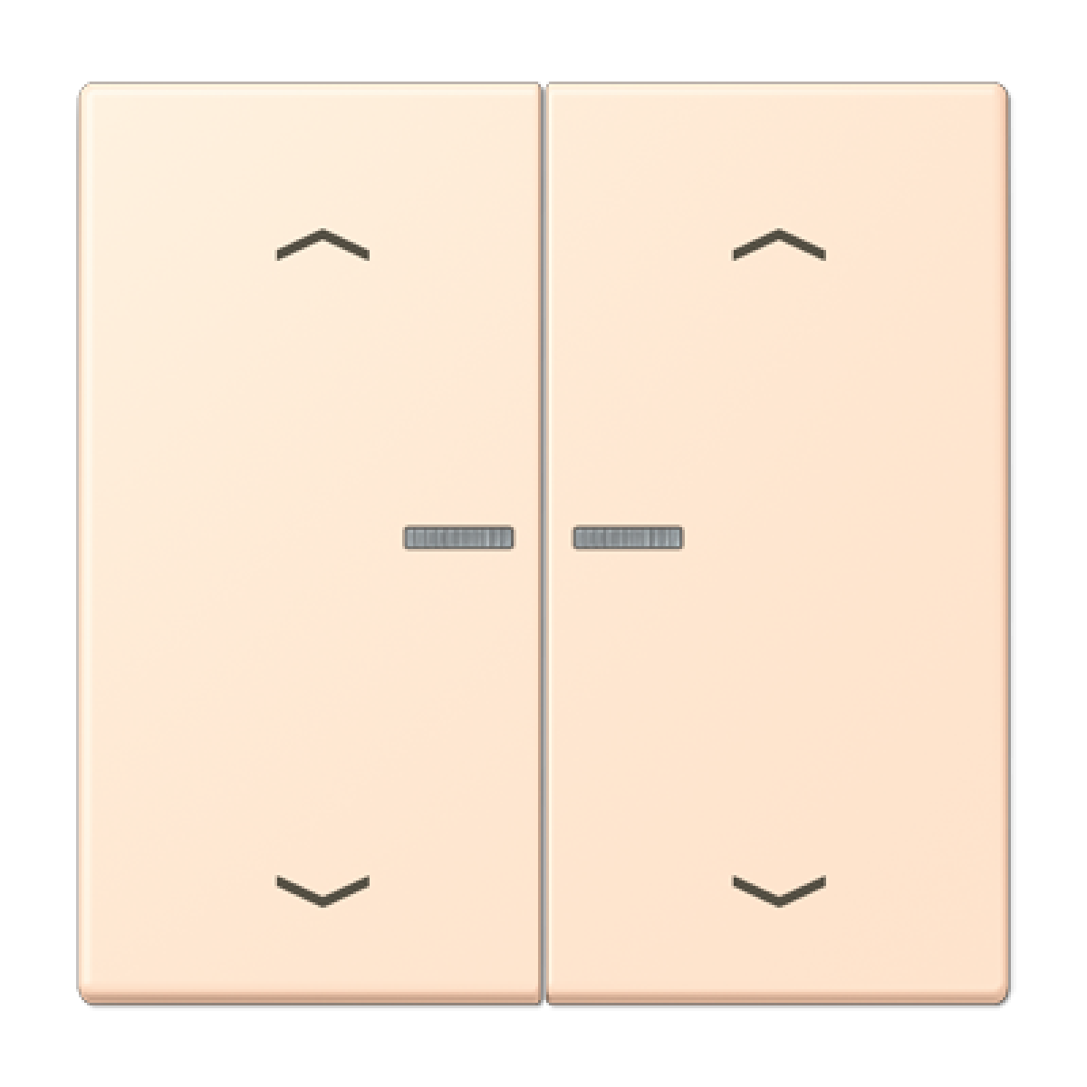 Tecla JUNG HOME 2 fases. pers. LC32123