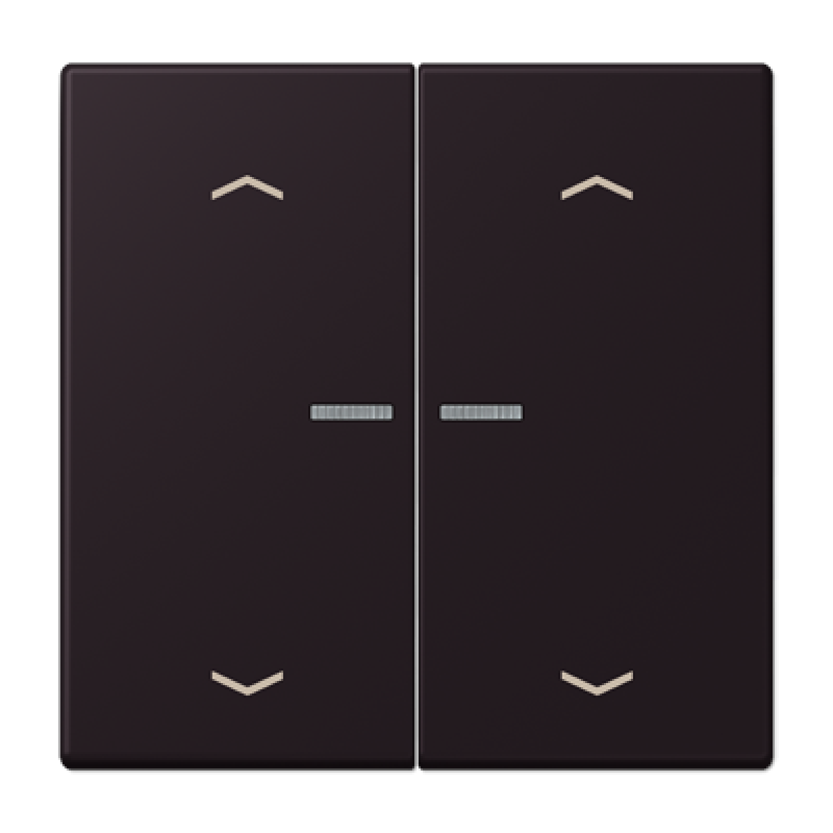 Tecla JUNG HOME 2 fases. pers. LC4320E