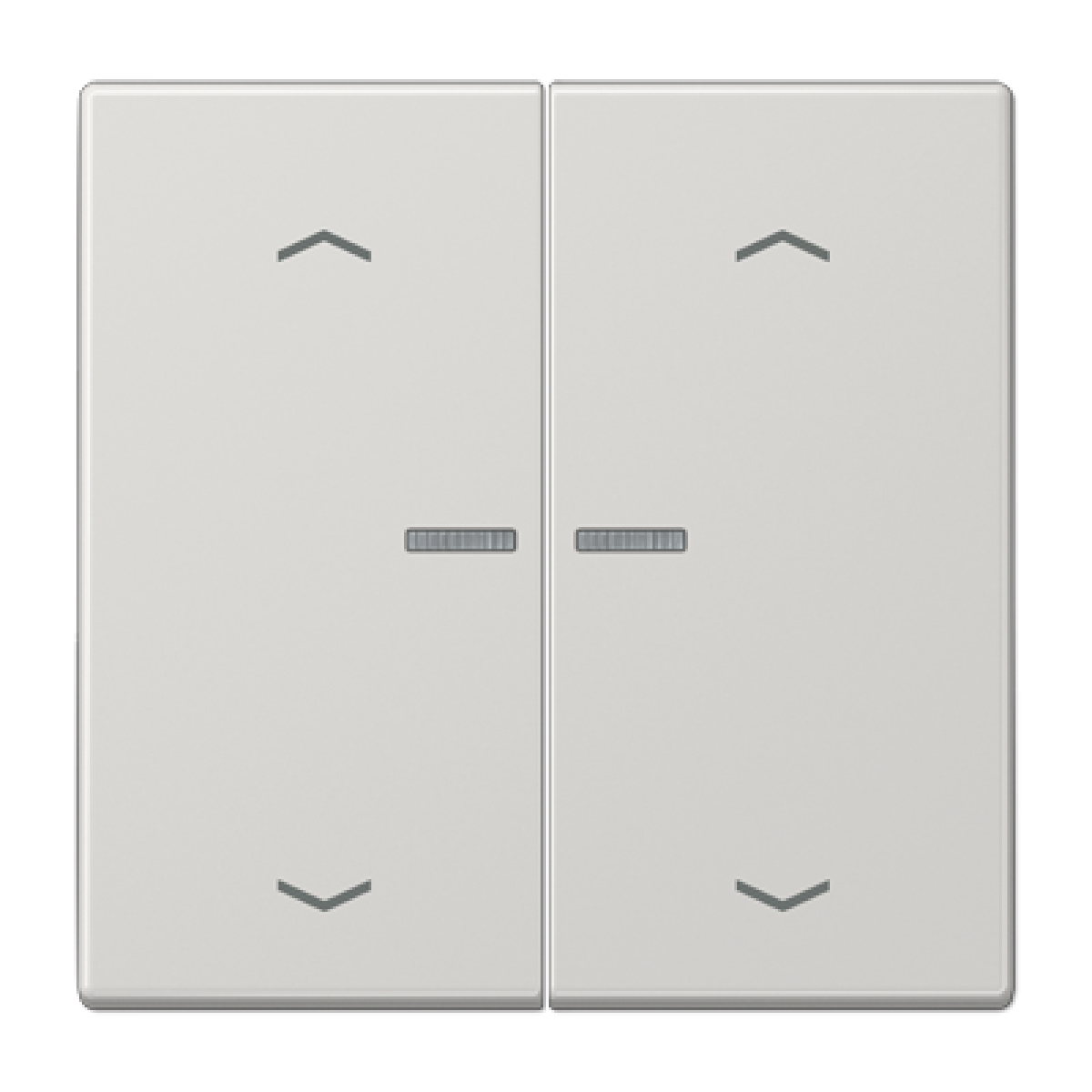 Tecla JUNG HOME pers. 2F LS gris claro