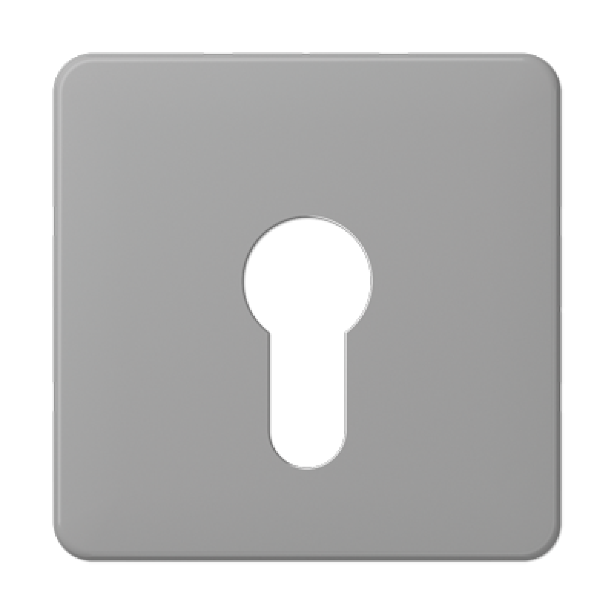 Paca interruptor llave CD gris