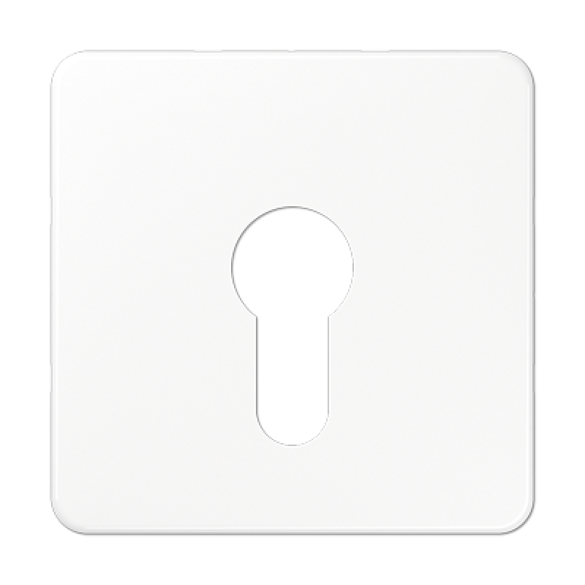 Paca interruptor llave CD blanco alpino