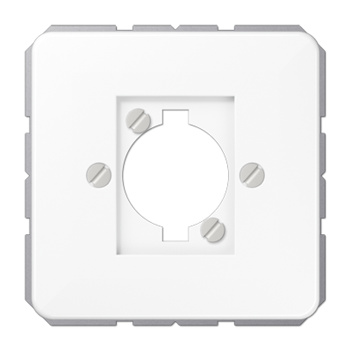 Placa para enchufe XLR. CD blanco alpino