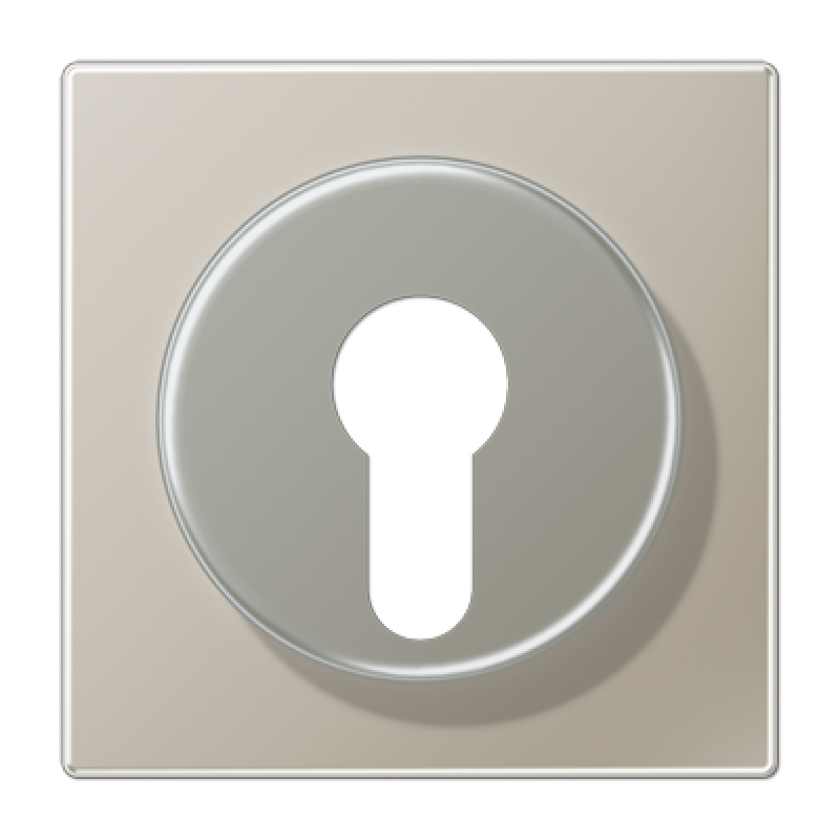 Placa interruptor llave LS acero