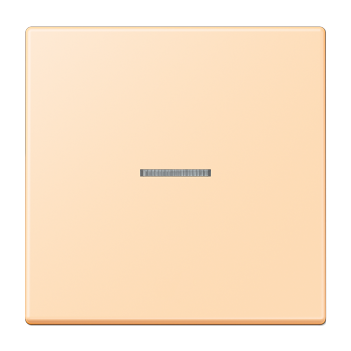 Tecla simple con visor. LC32060