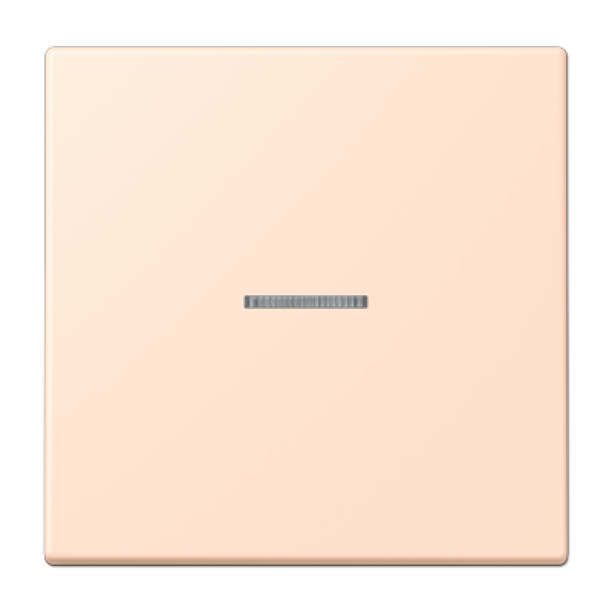 Tecla simple con visor. LC32091