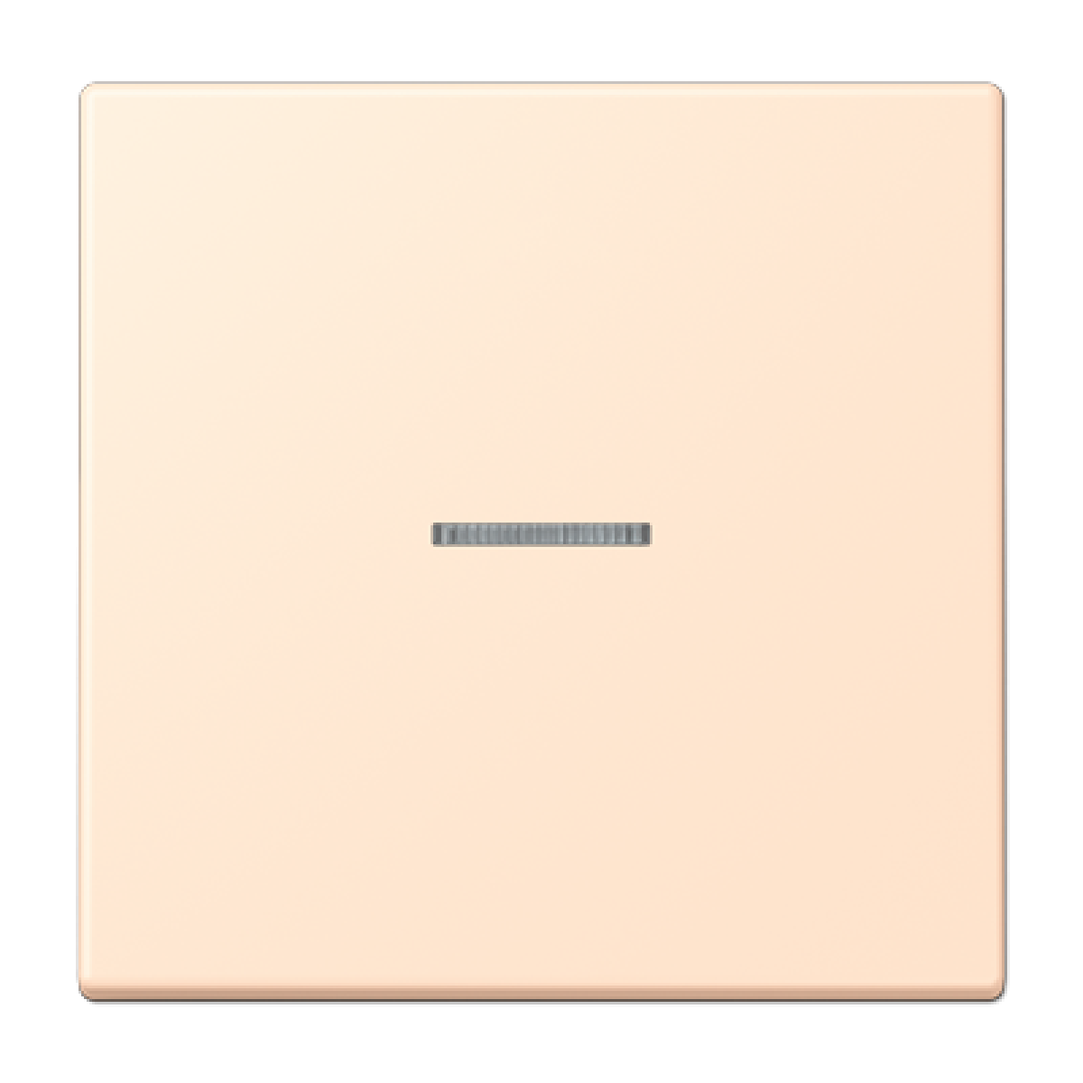 Tecla simple con visor. LC32123