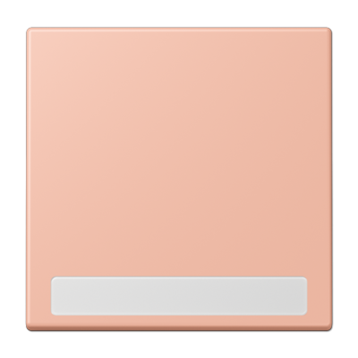 Tecla simple con inscripción. LC32102