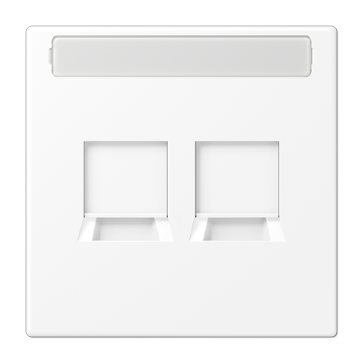 Placa Mod.Jack 2 tomas inscr. LS bl mate