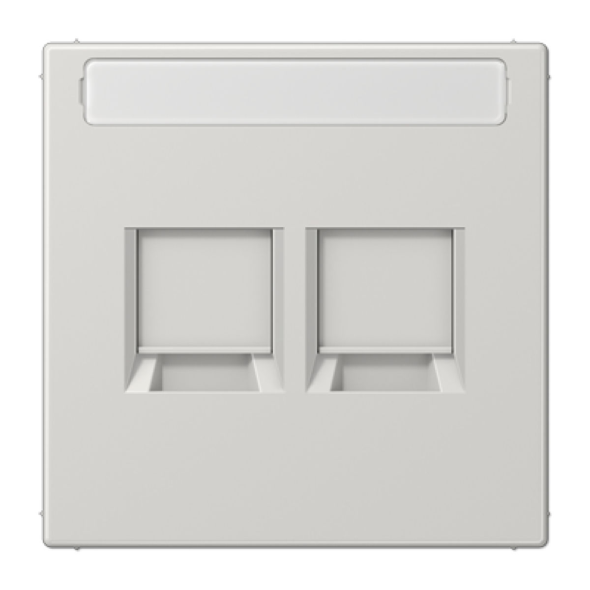 Placa Mod.Jack-Rad. 2 tomas LS gris cl