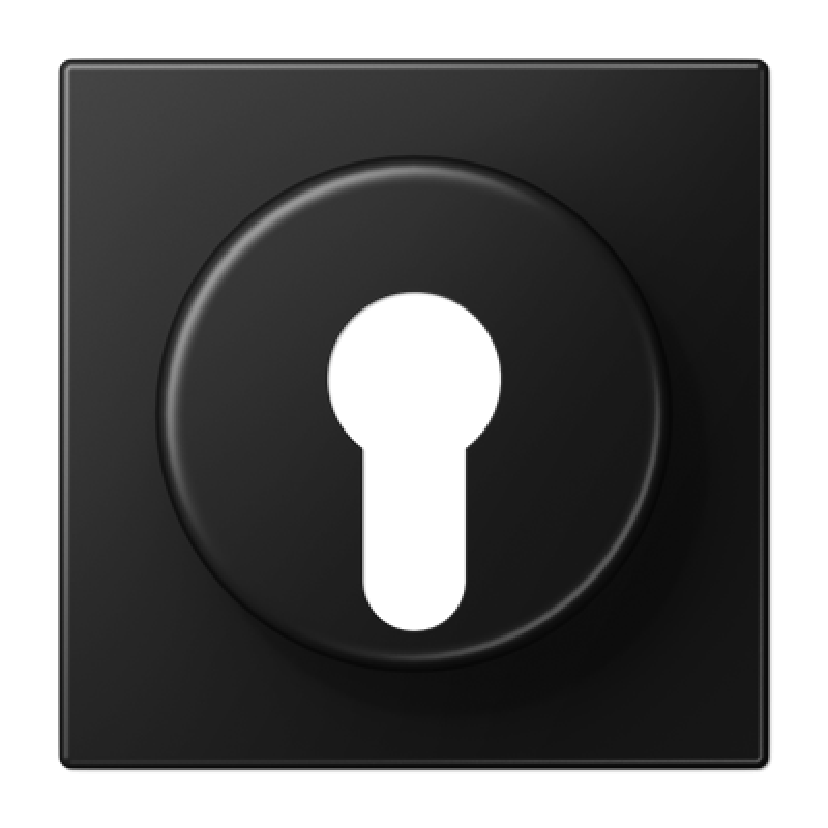 Placa interruptor llave LS negro mate