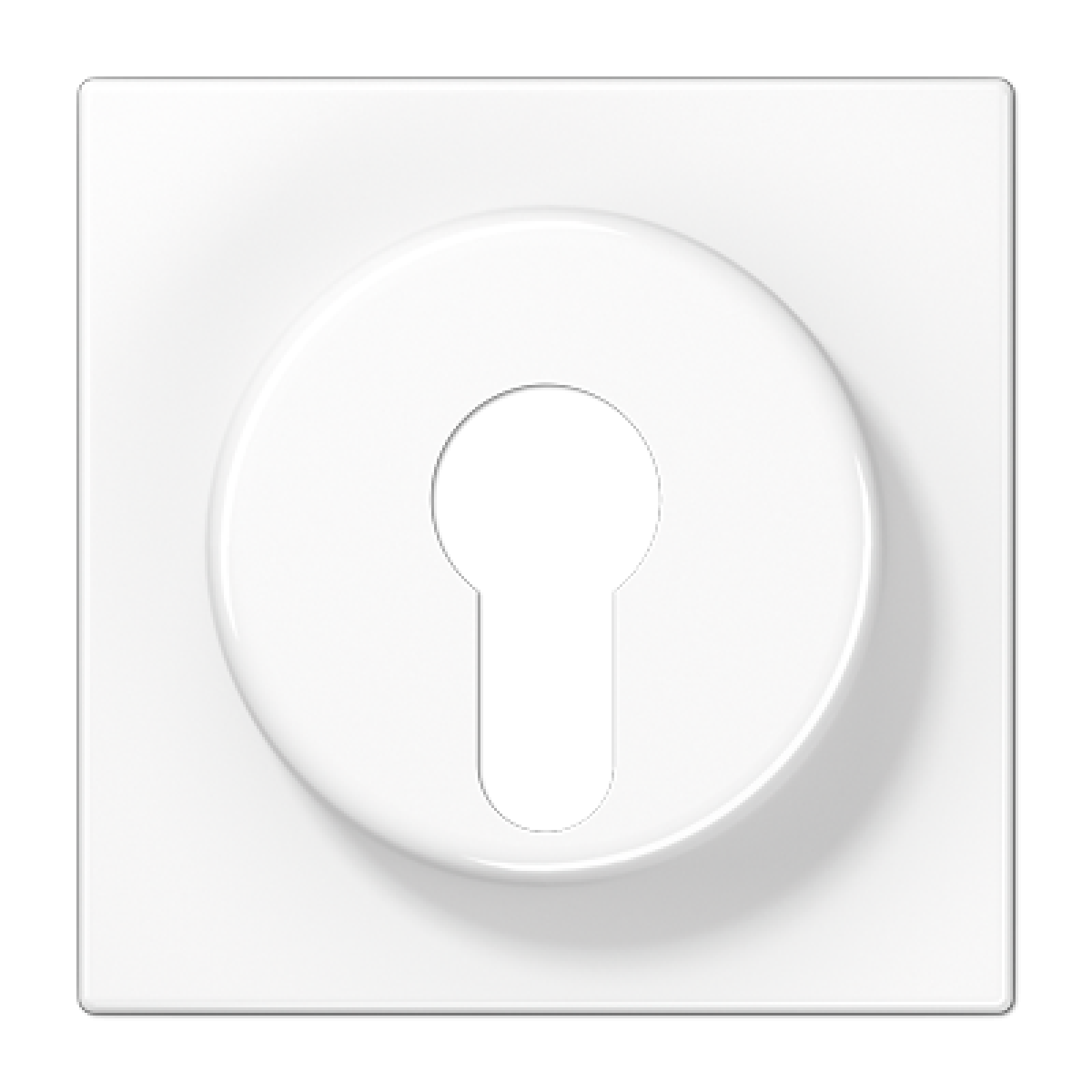 Placa interruptor llave LS bl. alpi