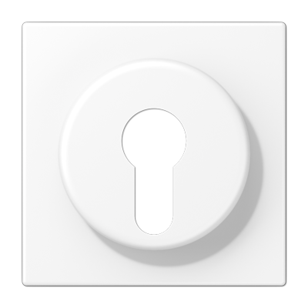 Placa interruptor llave LS bl. Mate