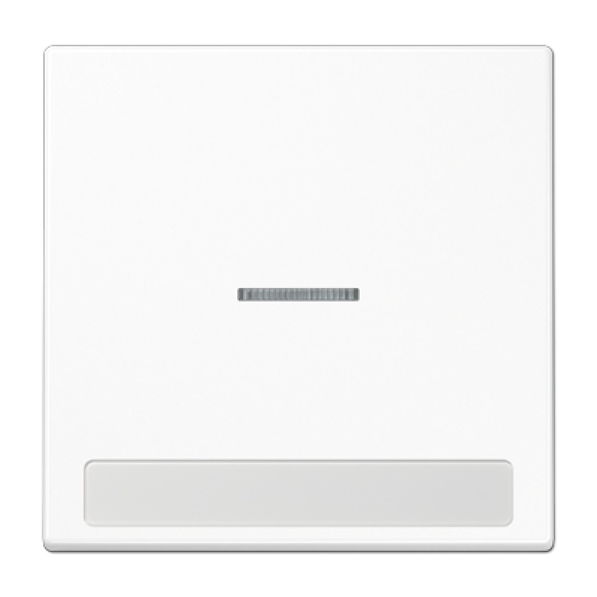 Tecla c visor e inscr. LS blanco alpino