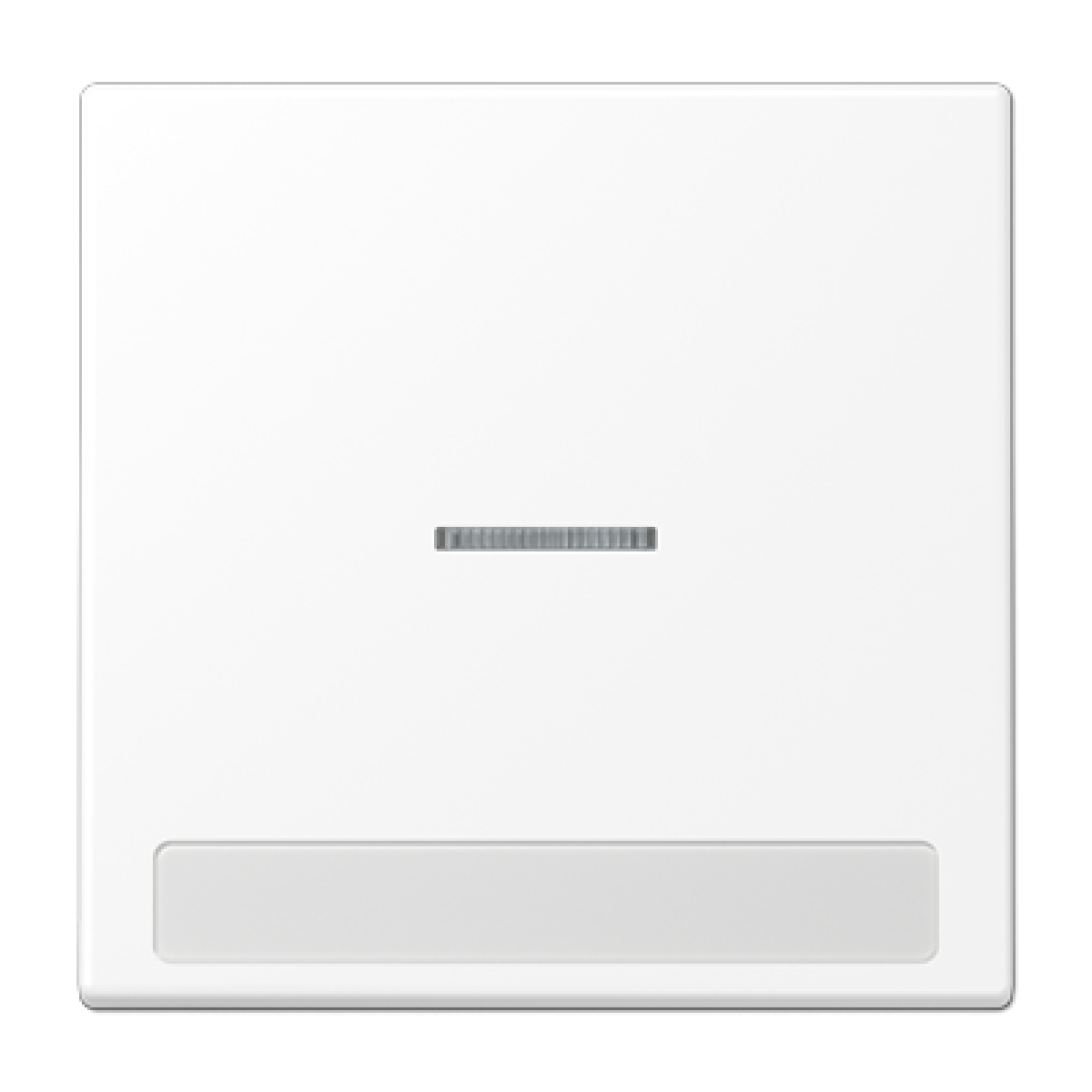 Tecla c visor e inscr. LS blanco mate