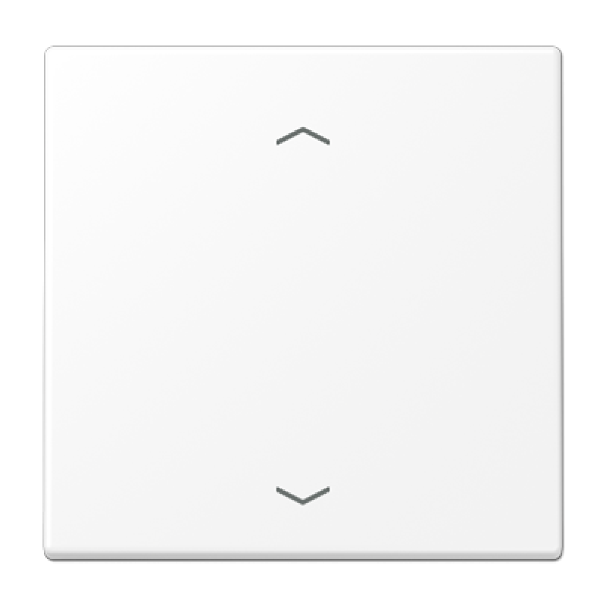 Tecla simple pers. LS bl. mate