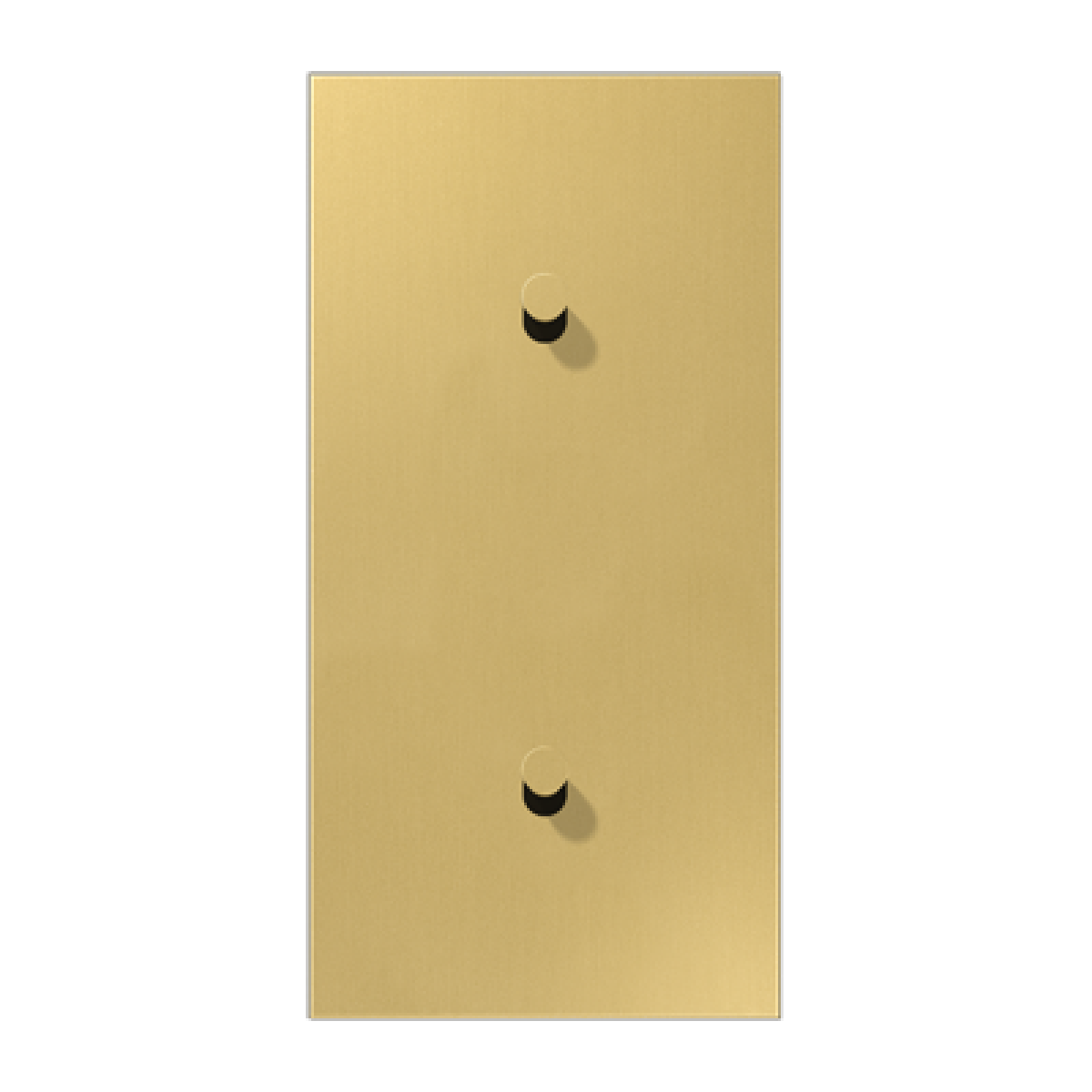 Placa vert. 2x2 pal. cono 1912 lat cl