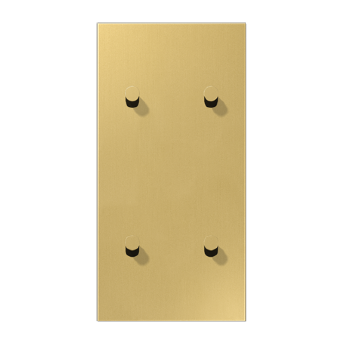 Placa vert. 2x4 pal. cono 1912 lat cl