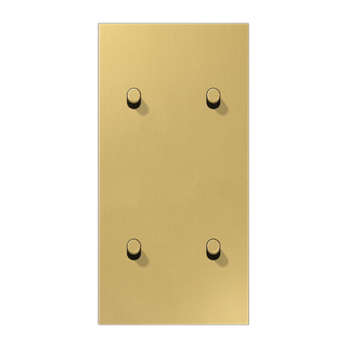 Placa vert. 2x4 pal cilindro 1912 lat cl