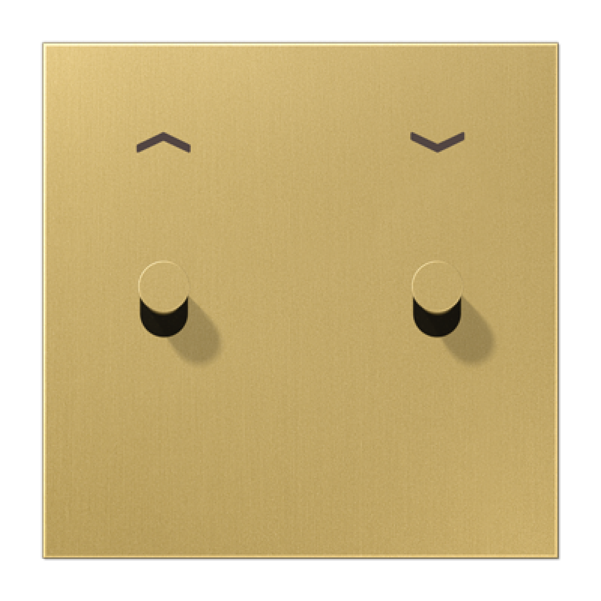 Placa 1x2 palpers. cono 1912 lat. cl