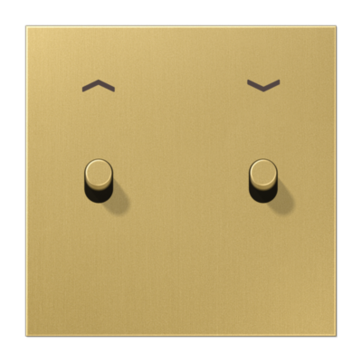 Placa 1x2 palpers. cilindro 1912 lat cl