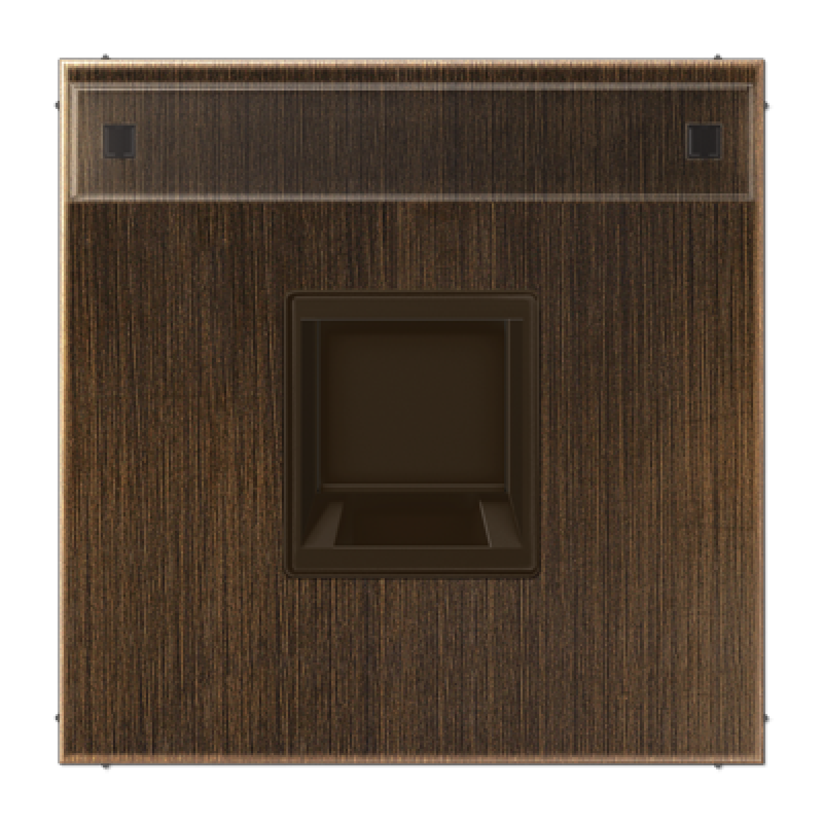 Placa Mod. Jack 1 toma inscr. LS lat an