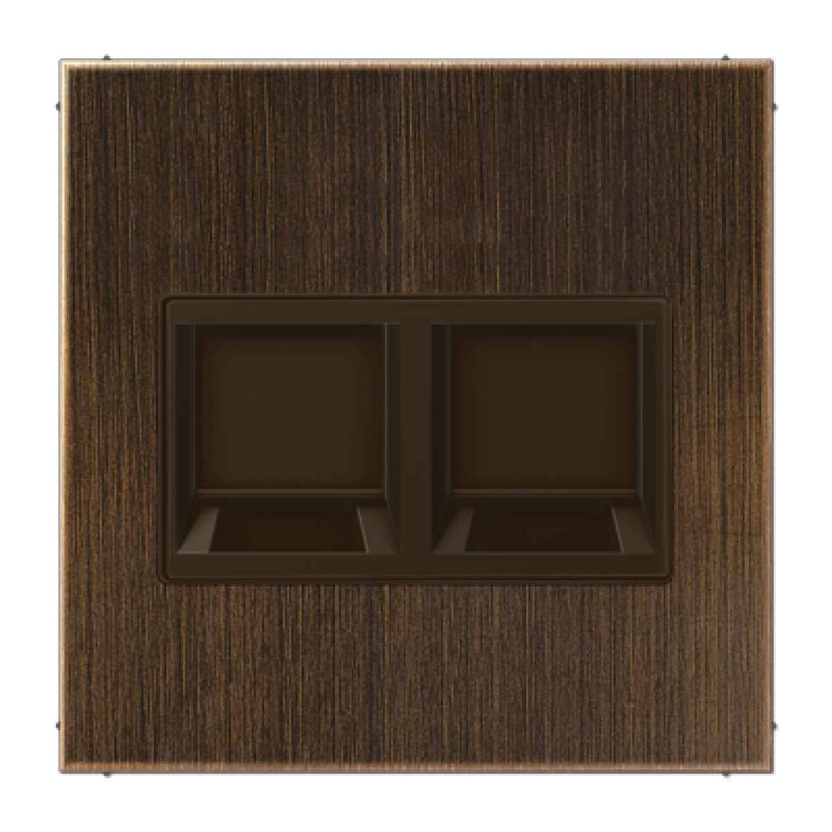 Placa Mod.Jack. 2 tomas LS lat. an.