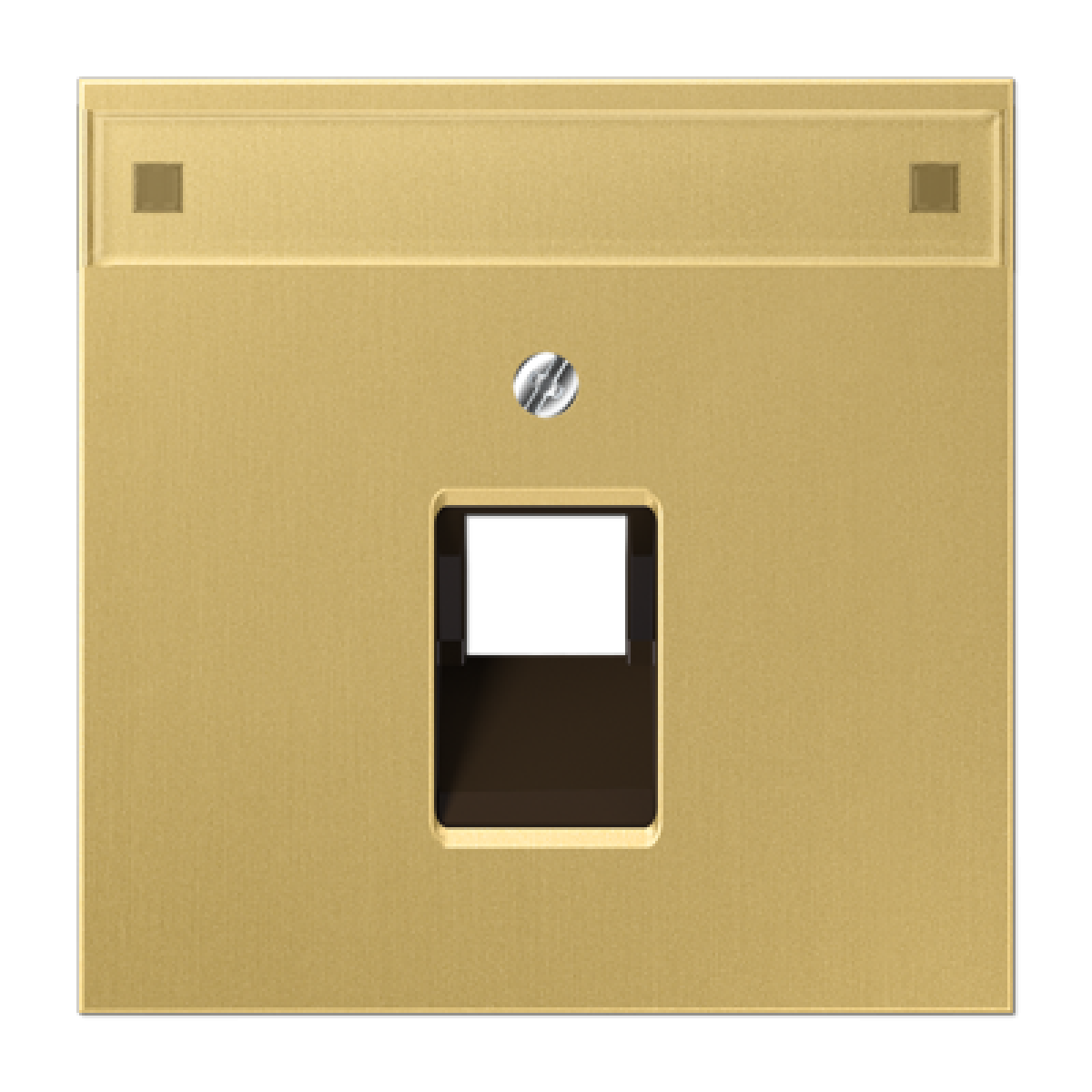 Placa central telef. inscr. LS lat. cl