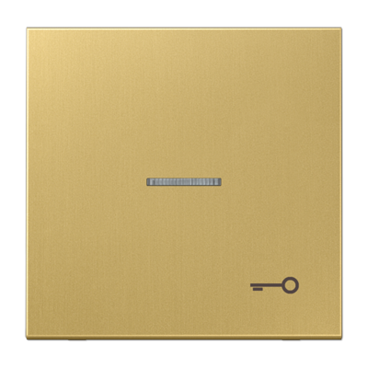 Tecla cvisor simb. puerta LS lat. cl.